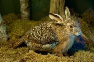 В начале был <span style='color:gray'>[мат]</span>.