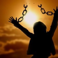 Пёс забрал поводок соплеменника из рук хозяйки