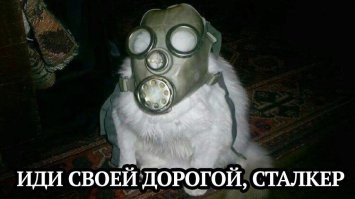 Результаты изучения геномов диких собак из Чернобыля и Семипалатинска. Можно ли управлять эволюцией?