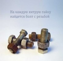 Как жадность заставила вьетнамцев плавать в корзинах