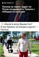 Солидная у Пескова белочка.