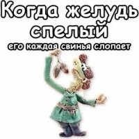 Ради экономии чудачка решила питаться кормом для свиней