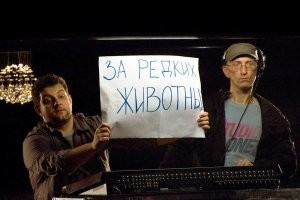 Туристов в Конго не жаль, а вот редких животных .....