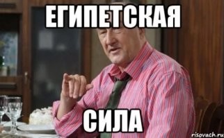 а более взрослое поколение, но не менее сильная реакция