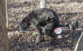 Скрины из соцсетей&nbsp;&nbsp;&nbsp;&nbsp;&nbsp;&nbsp;&nbsp;&nbsp;&nbsp;&nbsp;&nbsp;&nbsp;