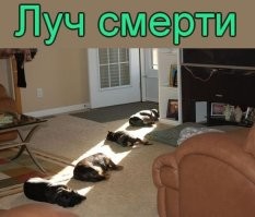 Пойдём, лежаночка, пора принимать солнечные ванны