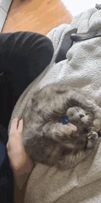 Потыкайте его палкой. Не сдох он там?