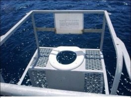 Загадочные черные шары на пляжах в Сиднее