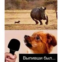 вспомнилось