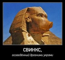 10 вопросов, которые себе задавал почти каждый