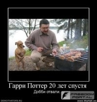 20 чудных животных, действия которых нам не дано понять