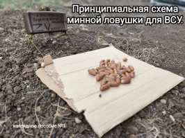 Политическая рубрика от&nbsp;NAZARETH за&nbsp;09.11.24. Новости, события, комментарии - 1743