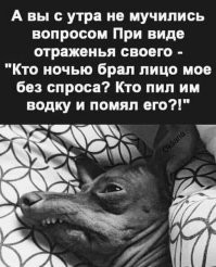 Утром с бодуна⁠⁠