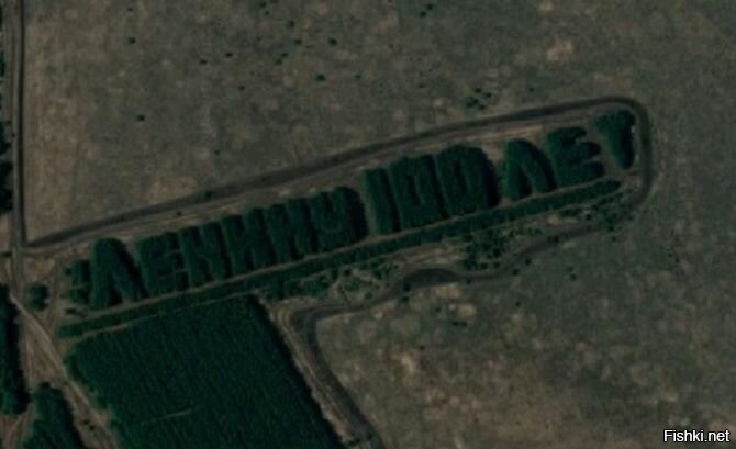 Лесная надпись «Ленину 100 лет» в Курганской области, РФ. Координаты   54 28 6.32, 64 47 48.20