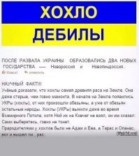 Уже 16 свинорылых припёрлось! Горите в аду, суки!