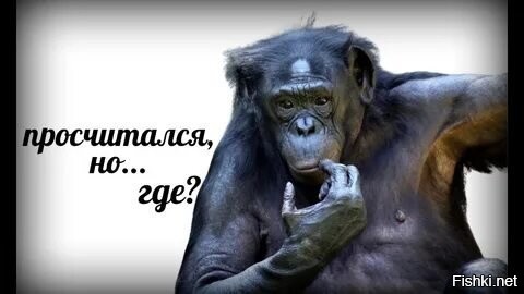 А потом суд, алименты...