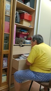 Всё должно быть под контролем