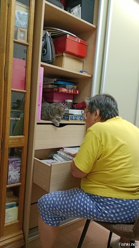 Всё должно быть под контролем