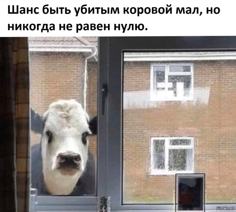 Прохожие отбили пенсионерку у разъярённого быка