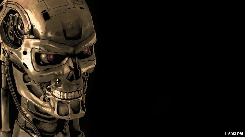Skynet начало