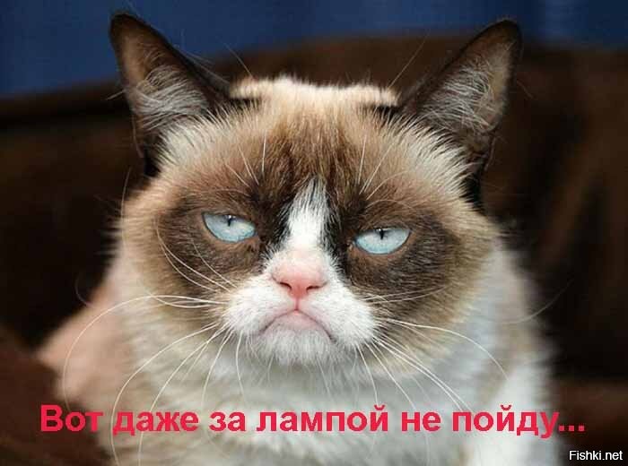 Если такое и будет, то ещё очень, очень, очень..........очень не скоро.