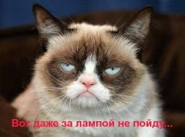 Если такое и будет, то ещё очень, очень, очень..........очень не скоро.
