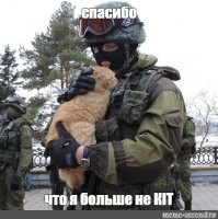 Коты всегда только за Россию!