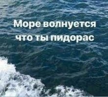 Скандальный блогер Литвин отсидел в спецприёмнике за драку и рассказал, что арест пошёл ему на пользу