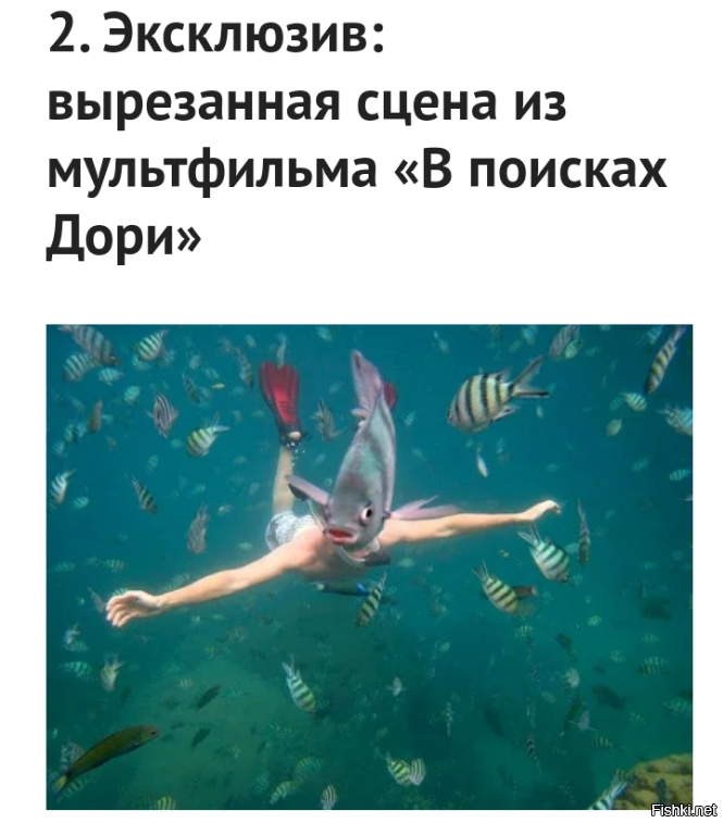 Точно из "Дори"?