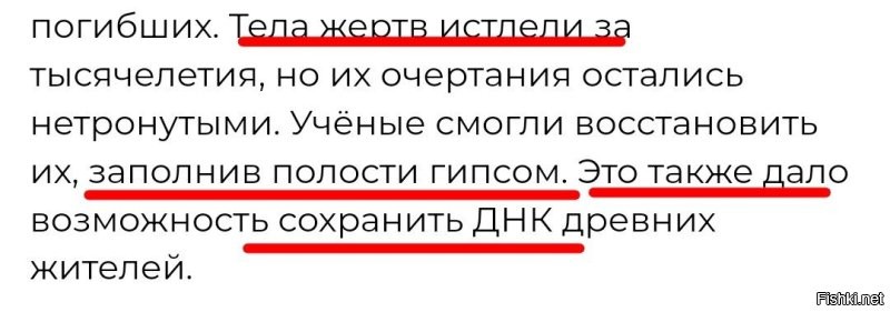 ДНК гипса? Хм...