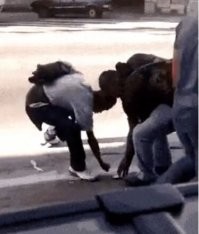 Белые прошли мимо, а ниггеры падки на чужое!