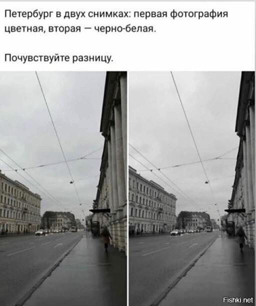Смешные картинки