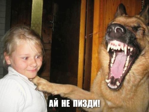 Певец SHAMAN официально получил звание "Заслуженный артист России"