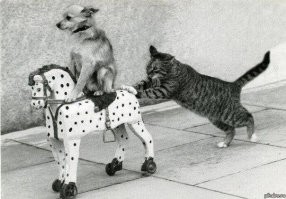 «Пятьдесят лбов и я - девочка»: Лолита пожаловалась, что активисты «Русской общины» хотели сорвать её концерт в Ярославле