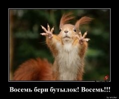 Не бухаем, а выживаем: мудрые способы использования алкоголя дикими животными