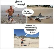 В Хакасии спасли рысь, забравшуюся на электроопору