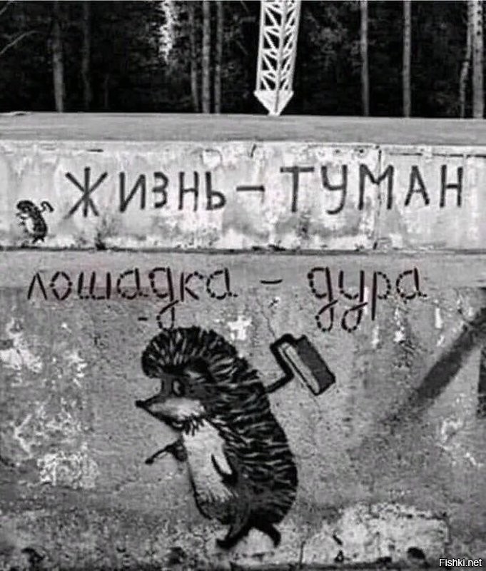Солянка от 13.11.2024
