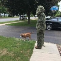 "Мой хозяин идиот!"