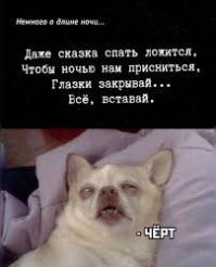 Не ищите здесь смысл. Здесь в основном маразм