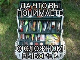 Смешные картинки