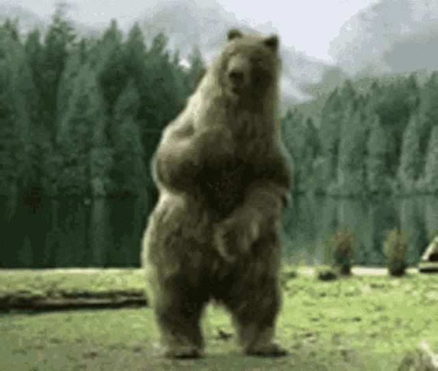 Dancing Bear Full Movie