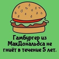 Не весь гамбургер, а булка для гамбургера. Да и то, если будет храниться отдельно. Начинка по-любому сгниёт раньше.