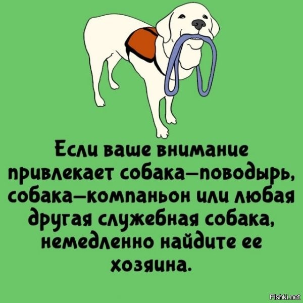 Ага, собака его найти не может, а я враз отыщу. Нефиг делать.