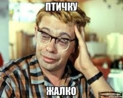 «Джага натворил много глупостей»: бойца ММА Джавида Рзаева отправили в СИЗО за хулиганство