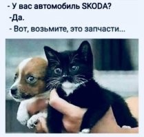 20+ малышей, которые озорничают и не дают своим мамам спокойно вздохнуть