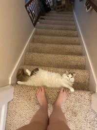 А куда она собралась идти? Там ведь тупик или помойка.