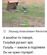 Уничтожение воробьёв в Китае: чудовищная ошибка, которую надо запомнить на все времена