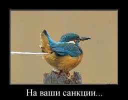 Политический мониторинг (496)