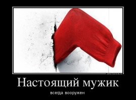 Демотиваторы для всех: «Дрессируй хозяина правильно»
