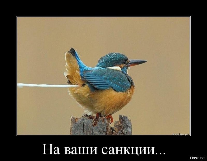 Политический мониторинг (496)